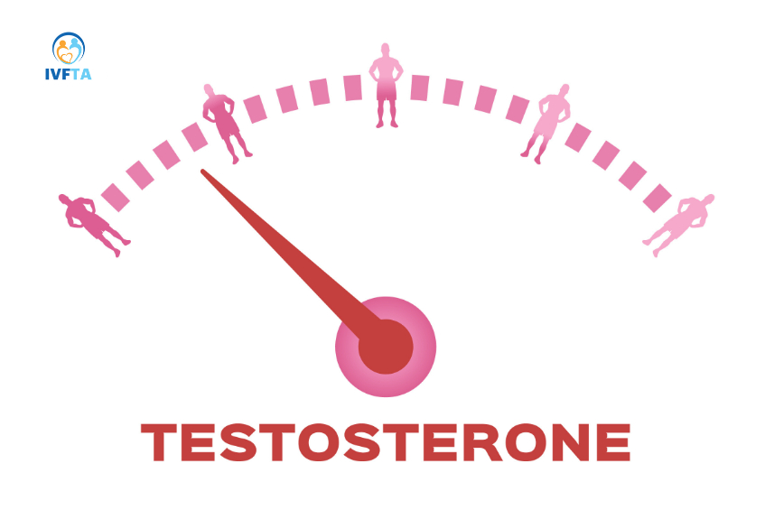 Khi nội tiết tố suy giảm có thể làm giảm kích thước tinh hoàn