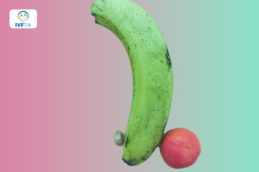 Hình ảnh minh họa tinh hoàn co rút di chuyển lên trên Hình ảnh minh họa tinh hoàn co rút di chuyển lên trên