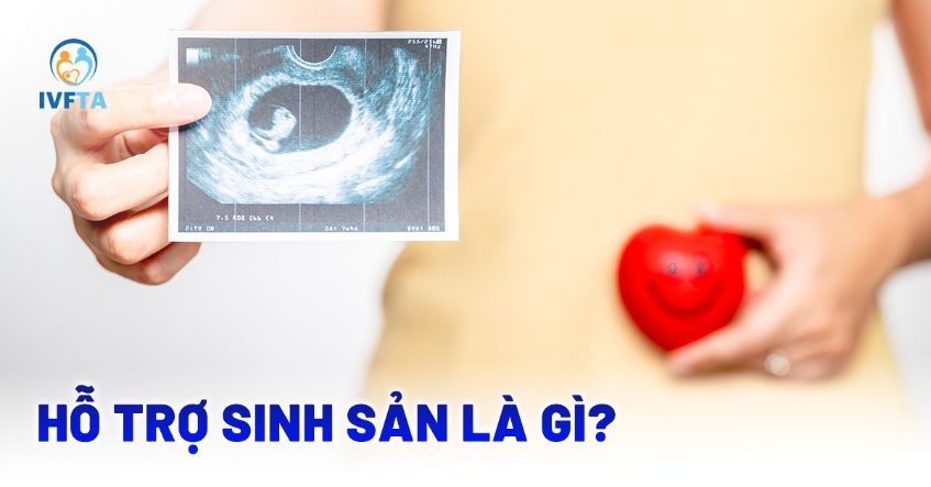 Hỗ trợ sinh sản là gì?