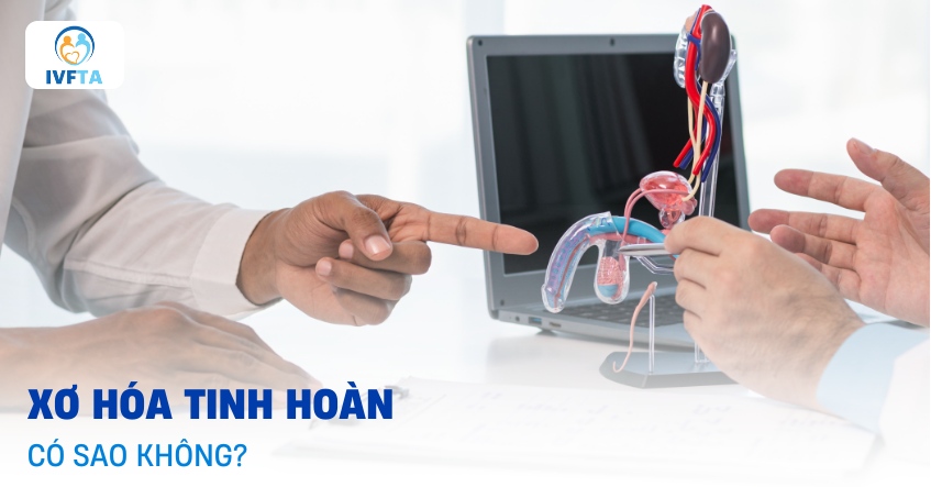 xơ hóa tinh hoàn có sao không?