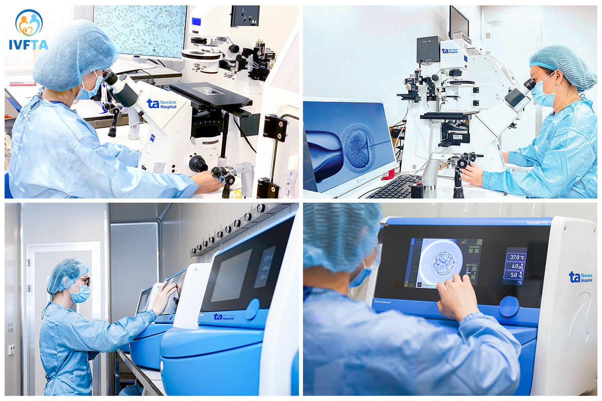 Những "mắt xích" then chốt giúp tối ưu tỷ lệ mang thai và sinh con khỏe mạnh tại IVF Tâm Anh