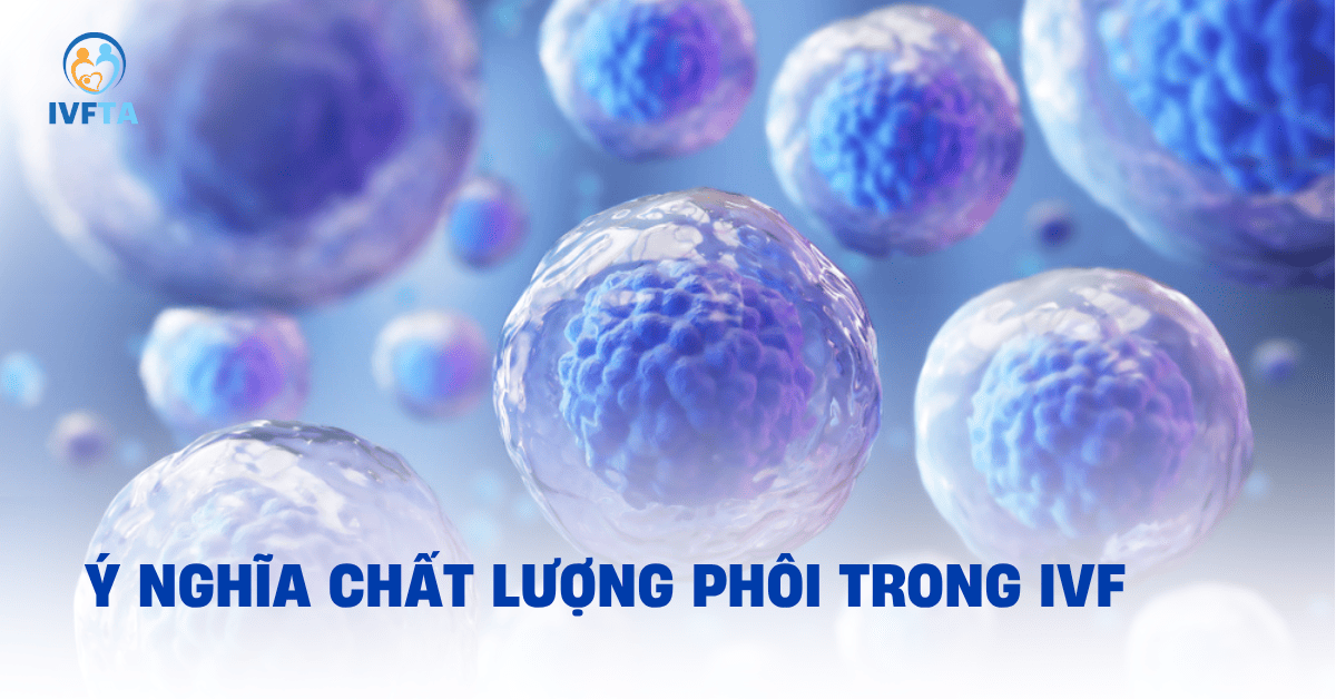 chất lượng phôi làm ivf chất lượng phôi làm ivf