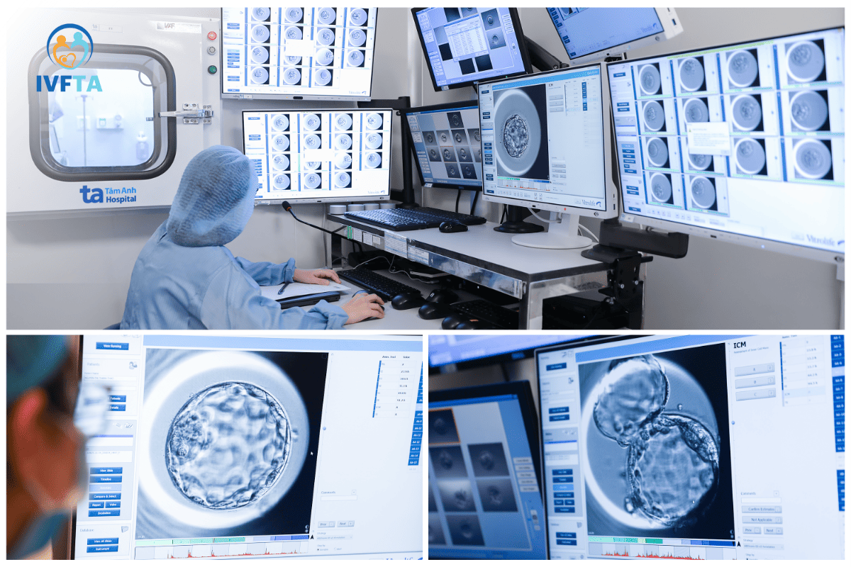 hệ thống nuôi cấy phôi hiện đại hệ thống nuôi cấy phôi hiện đại