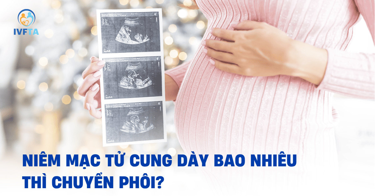 niêm mạc dày bao nhiêu thì chuyển phôi