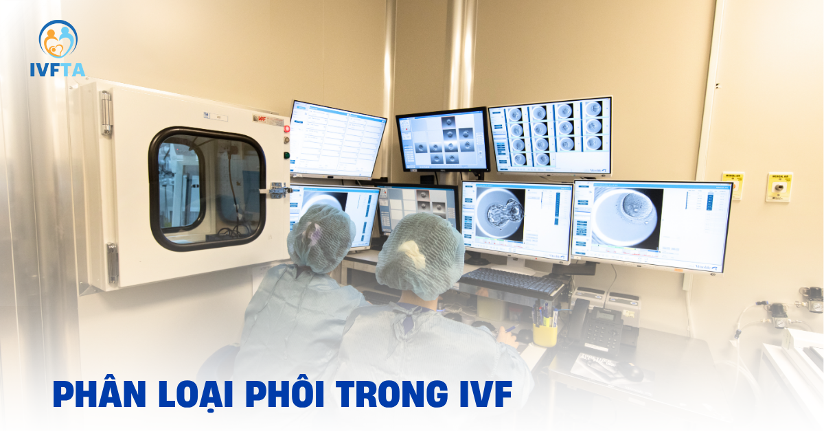 phân loại phôi ivf