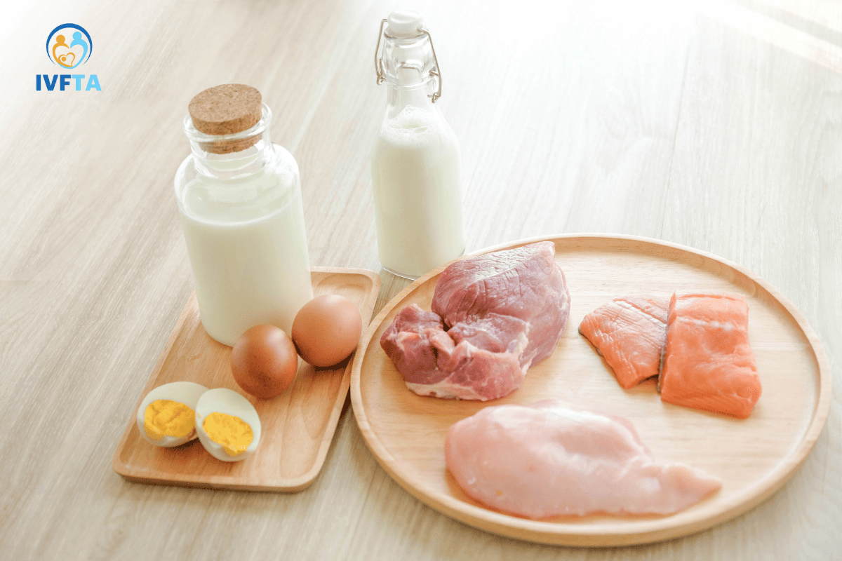trước chuyển phôi bổ sung thực phẩm giàu protein và sắt trước chuyển phôi bổ sung thực phẩm giàu protein và sắt