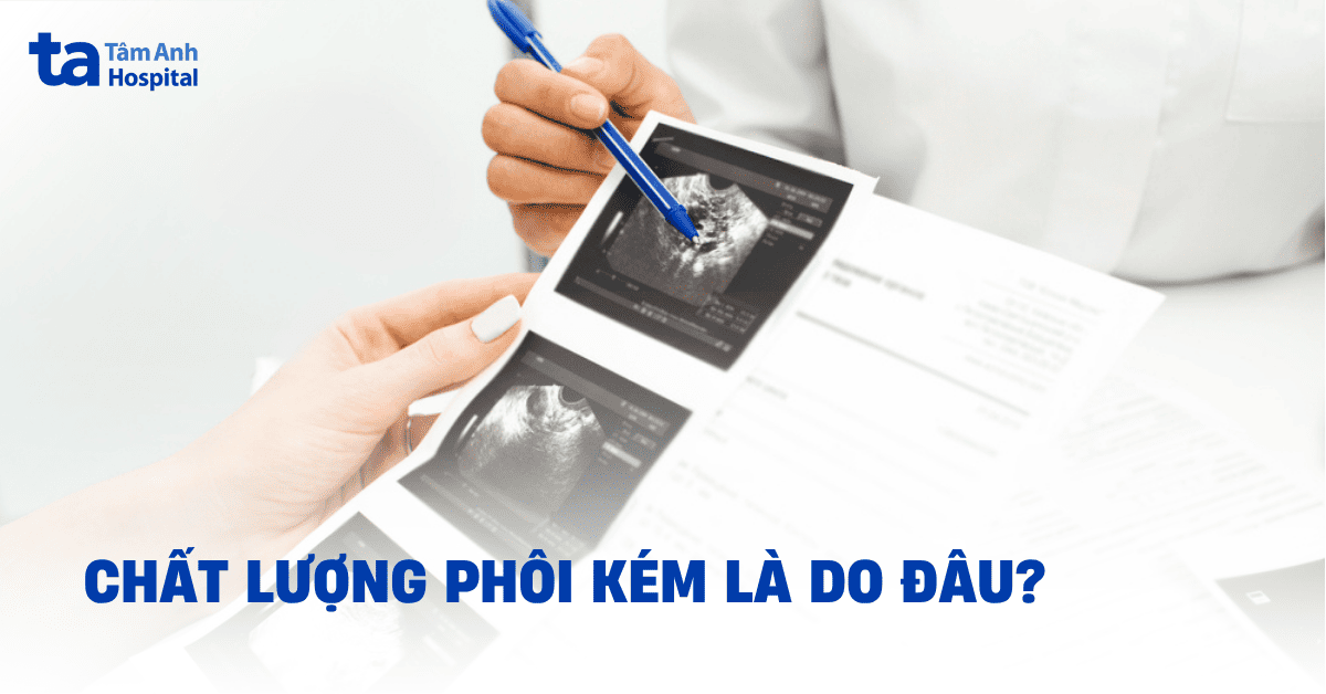 chất lượng phôi kém là do đâu