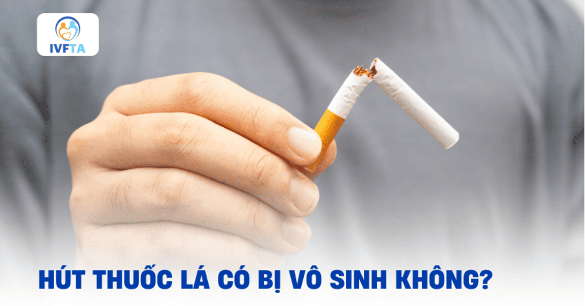 hút thuốc có vô sinh không