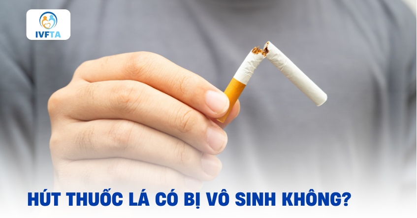 hút thuốc lá có bị vô sinh không