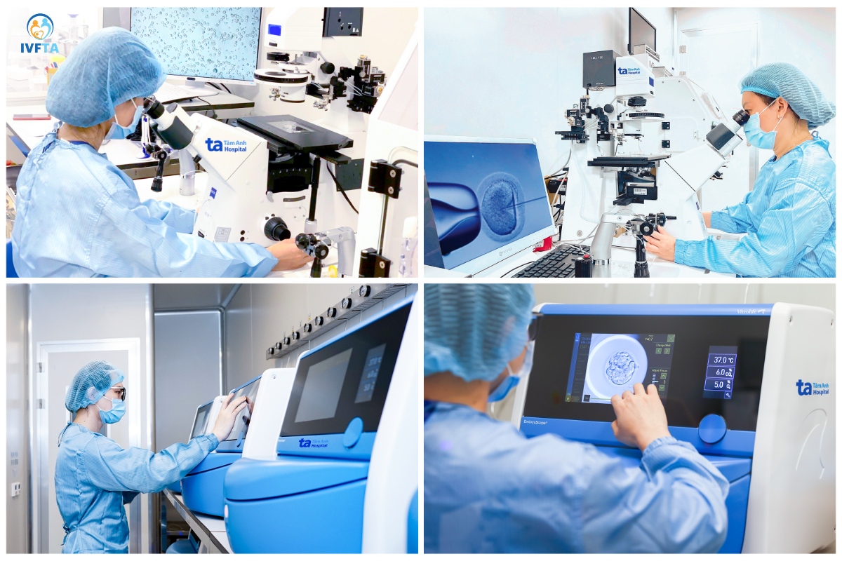 quy trình nuôi cấy phôi tại ivf tâm anh quy trình nuôi cấy phôi tại ivf tâm anh