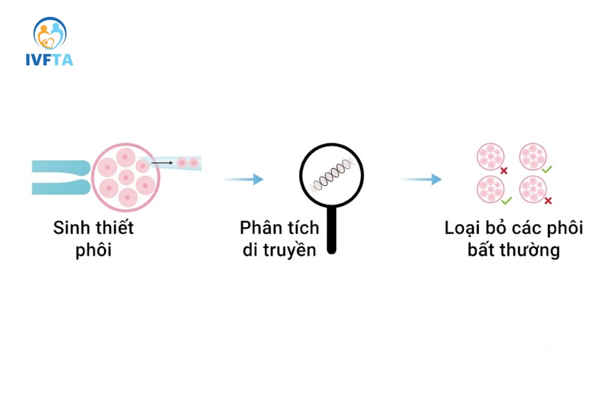 quy trình sinh thiết phôi