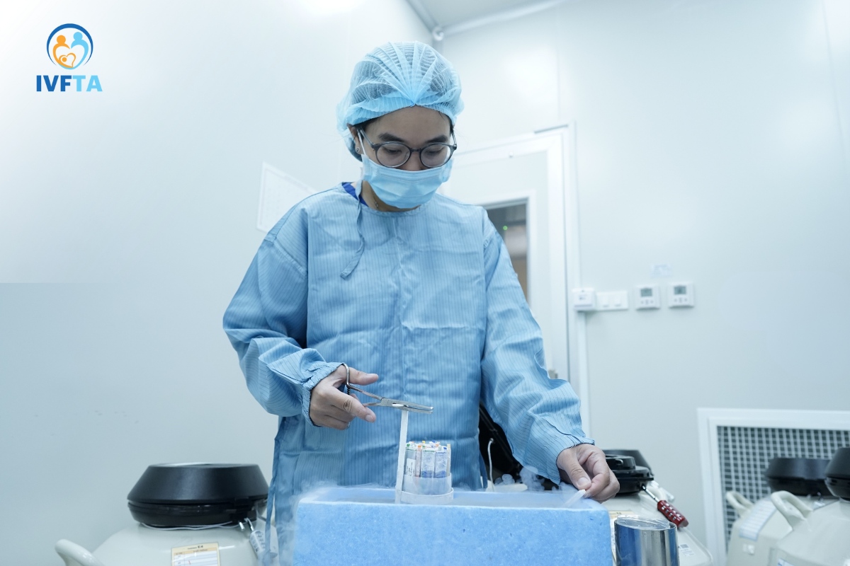 trữ phôi tích lũy phôi qua nhiều chu kỳ
