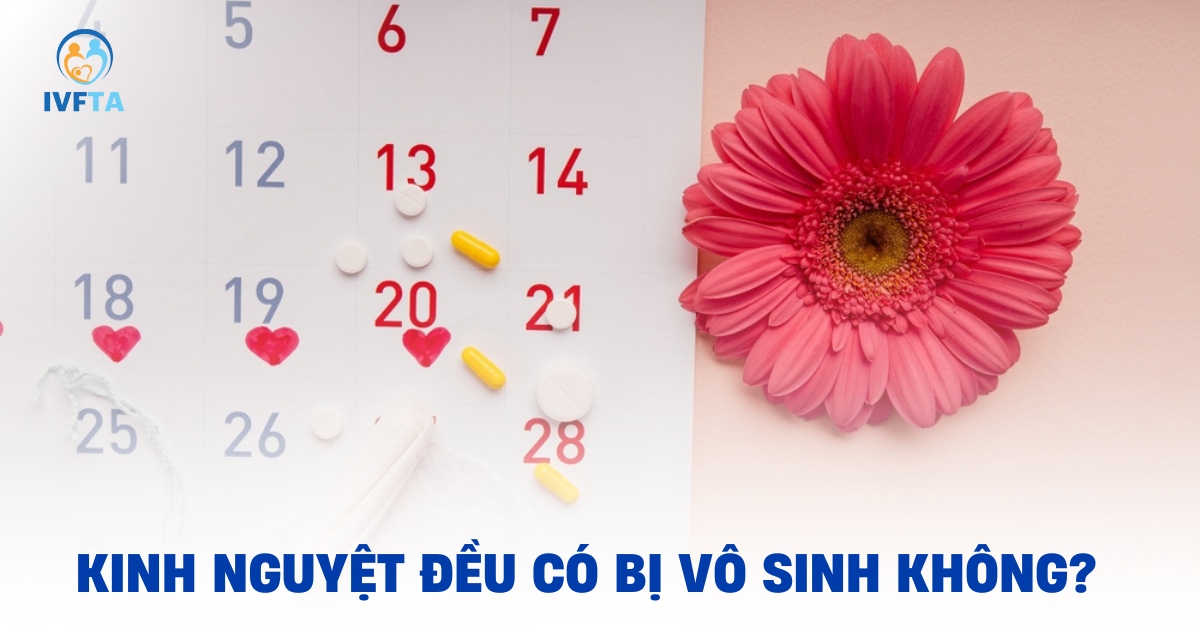 kinh nguyệt đều có bị vô sinh không